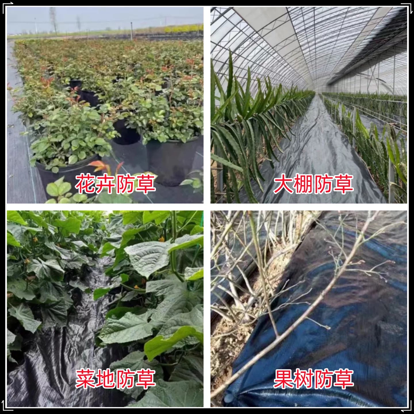 贵港市果树反光膜防草布 - 哪里好
