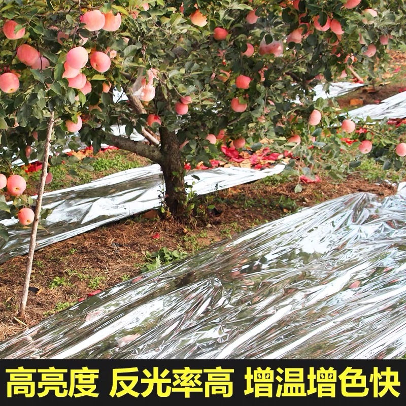 贵港市塑料薄膜果树反光膜 - 方案